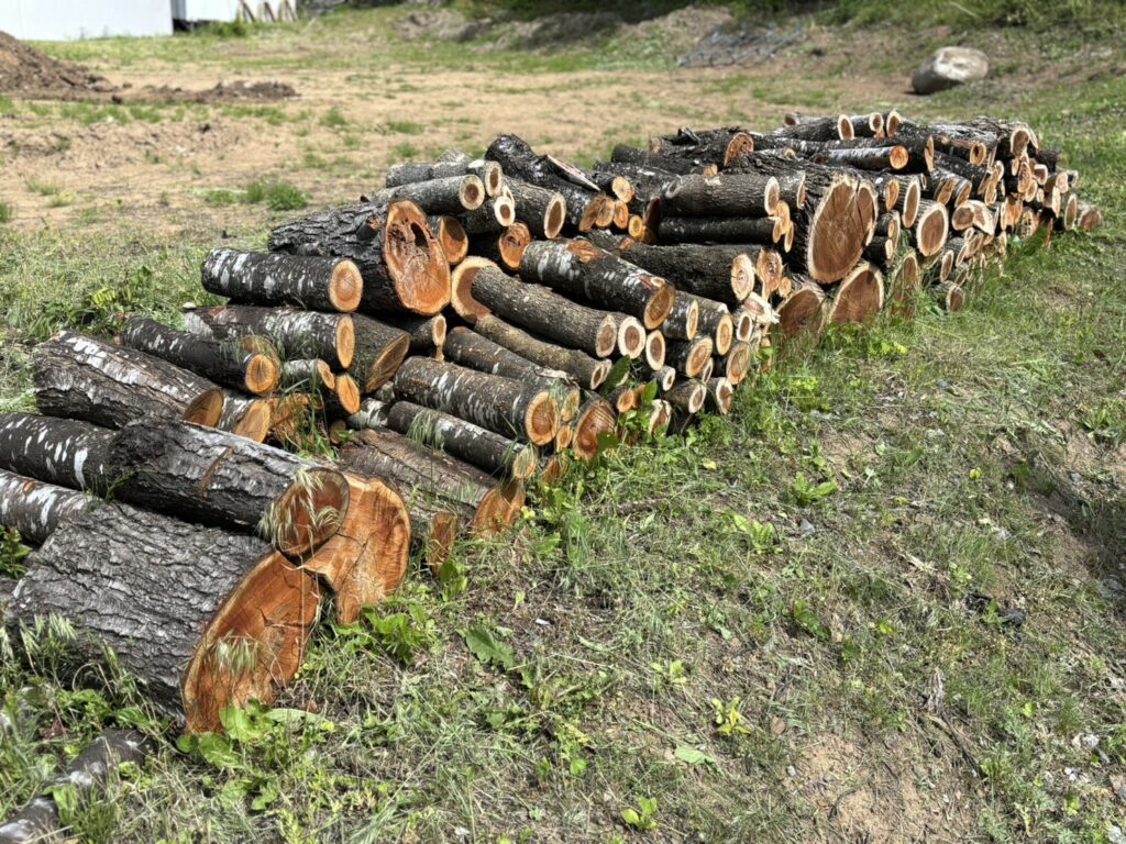 薪割りday～冬の薪ストーブ快適生活に向けて!!