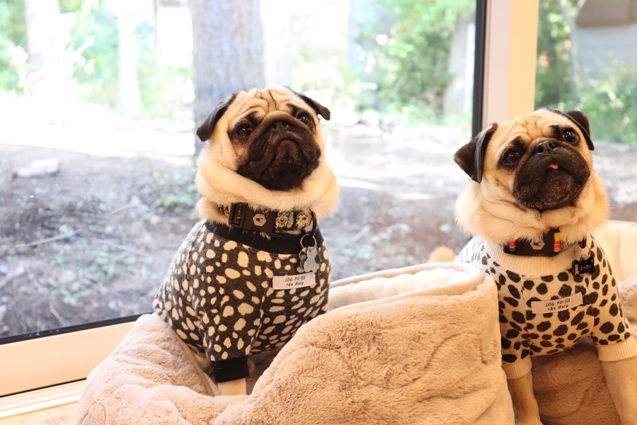 御代田に移住して1年たったオーナー様に本音を聞いてみました